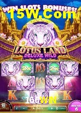 Recursos de Bônus 166WIN
